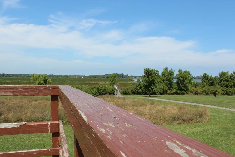 Braddock Bay Bird Conservation Area