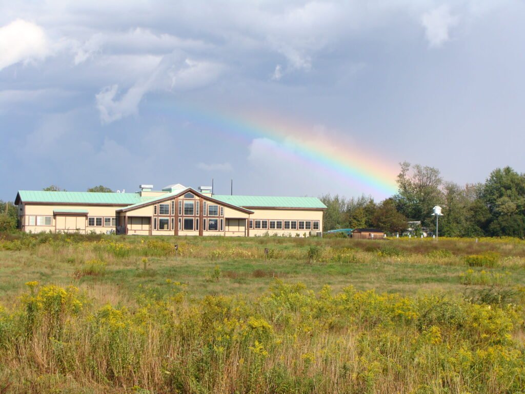 Cayuga Lake Wildlife Management Area