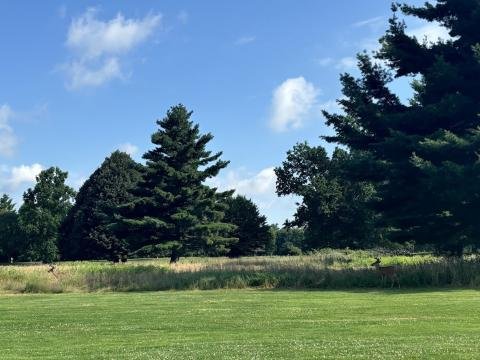 Genesee Valley Park