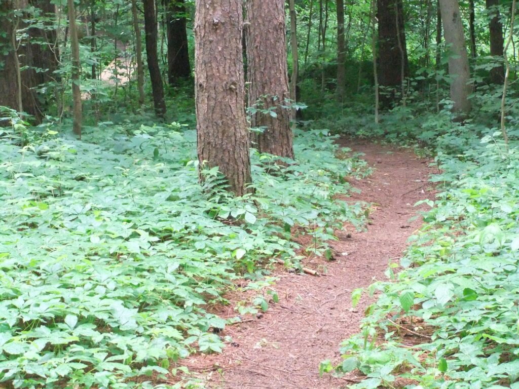 Great Bear Spring Recreation Area