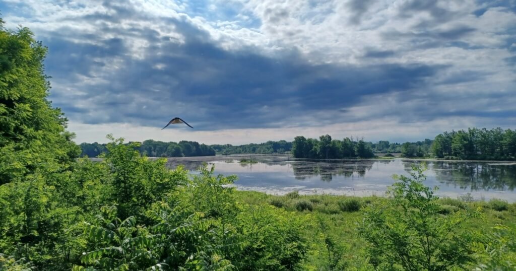 Iroquois National Wildlife Refuge