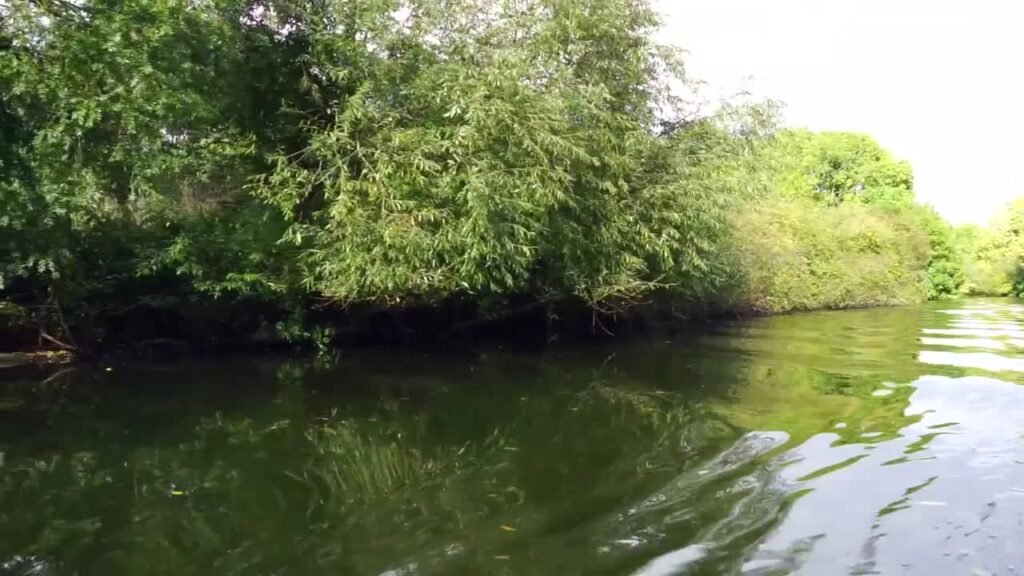 Low Bridge Charters