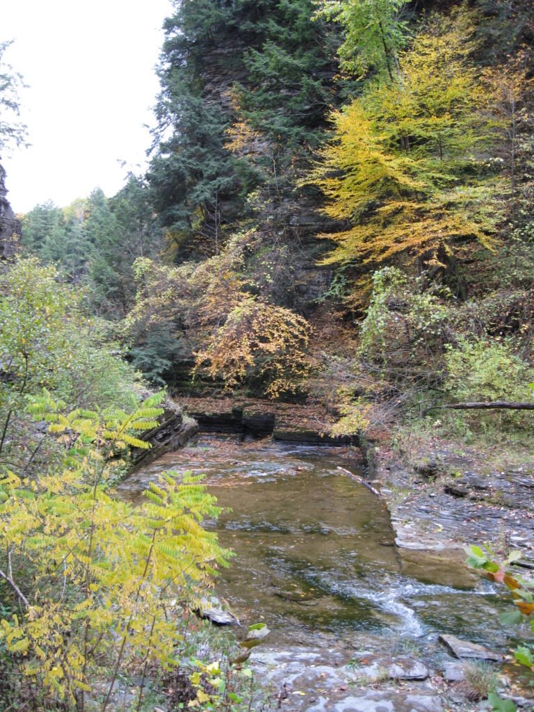Robert H. Treman State Park