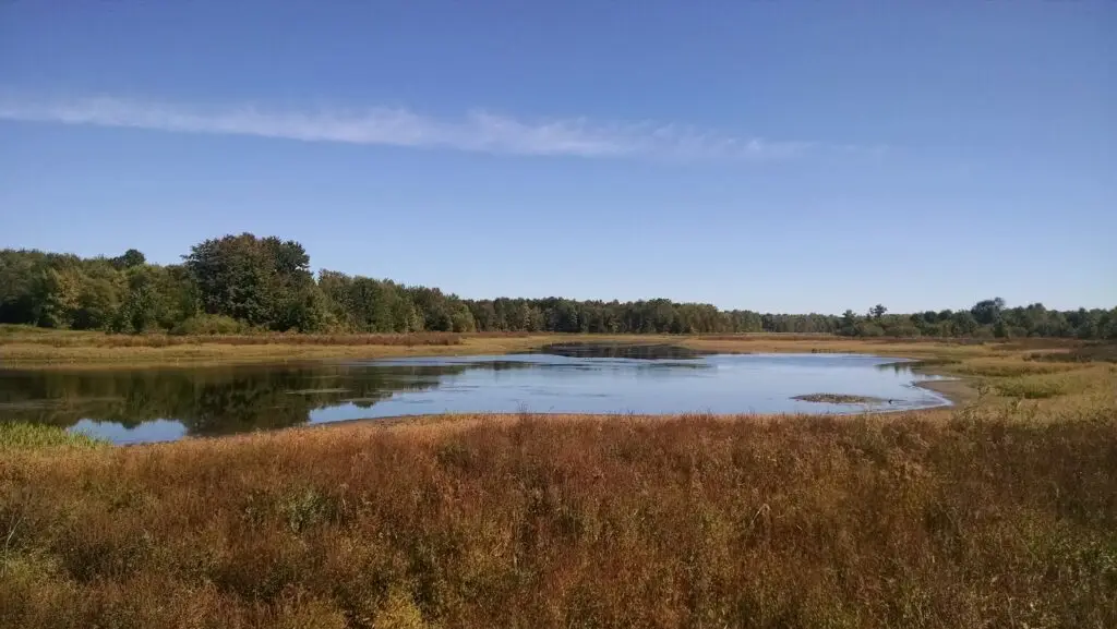 Three Rivers Bird Conservation Area